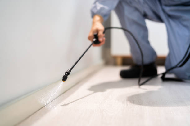 Licensed Pest Control service in Tilton, IL - Show Me Pest Control
