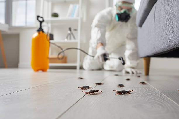 Commercial Kitchen Cockroach Control in Tilton